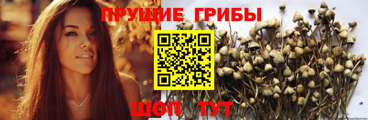 закладка  Галлюциногенные грибы прущие грибы  Вход с VPN  Острогожск 